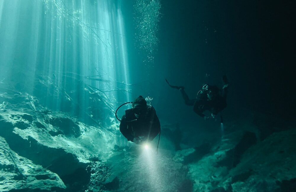 Scuba divers underwater